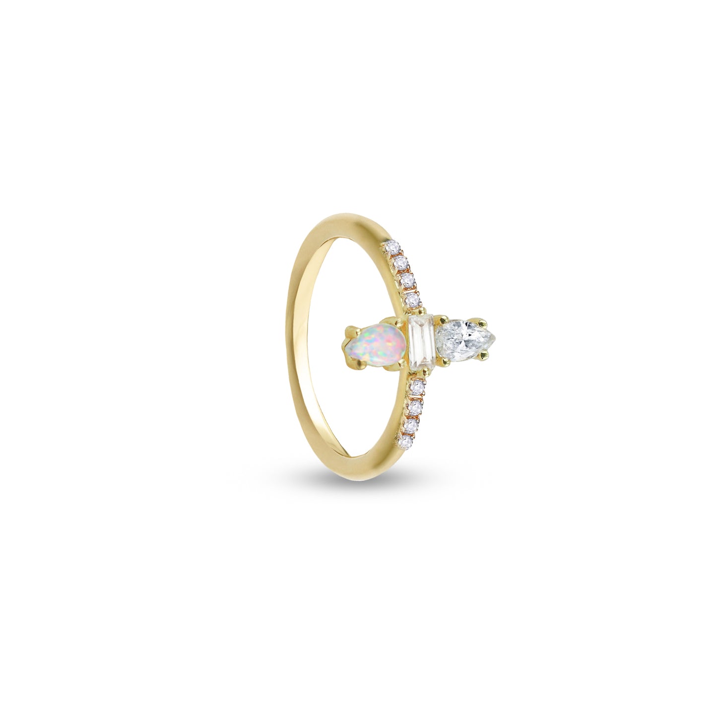 The Nova Ring