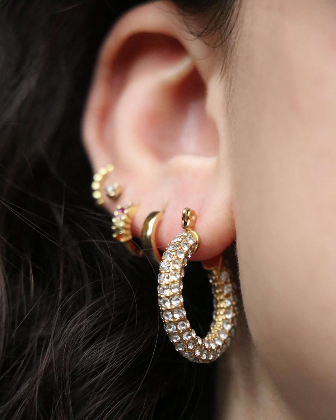 The Sparkle Encrusted Hoops