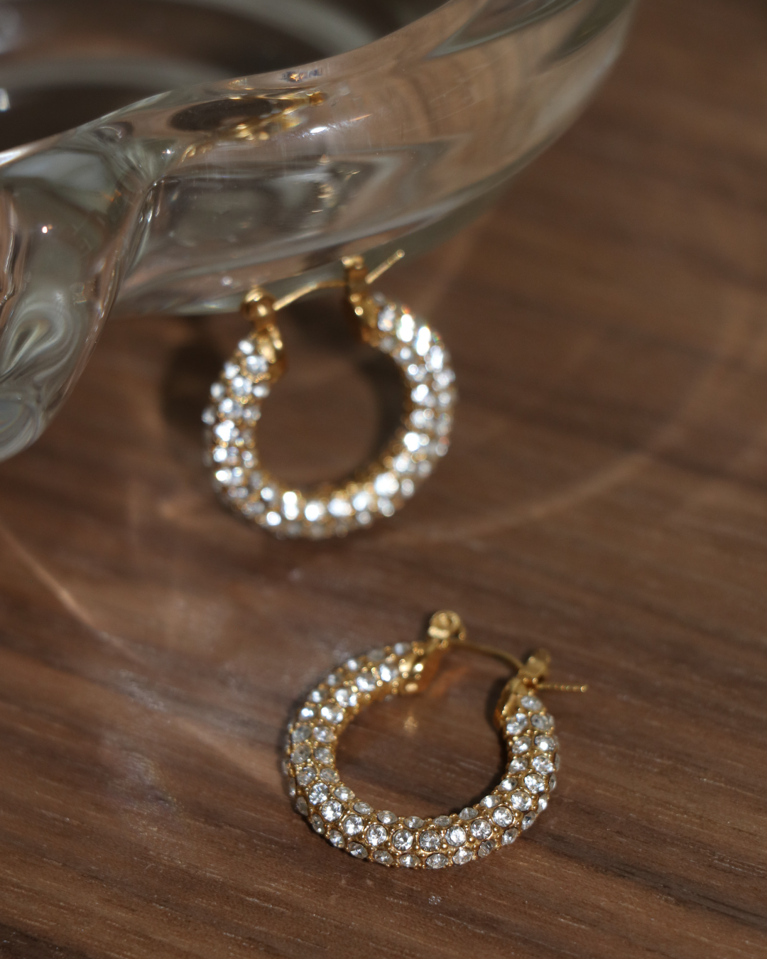 The Sparkle Encrusted Hoops