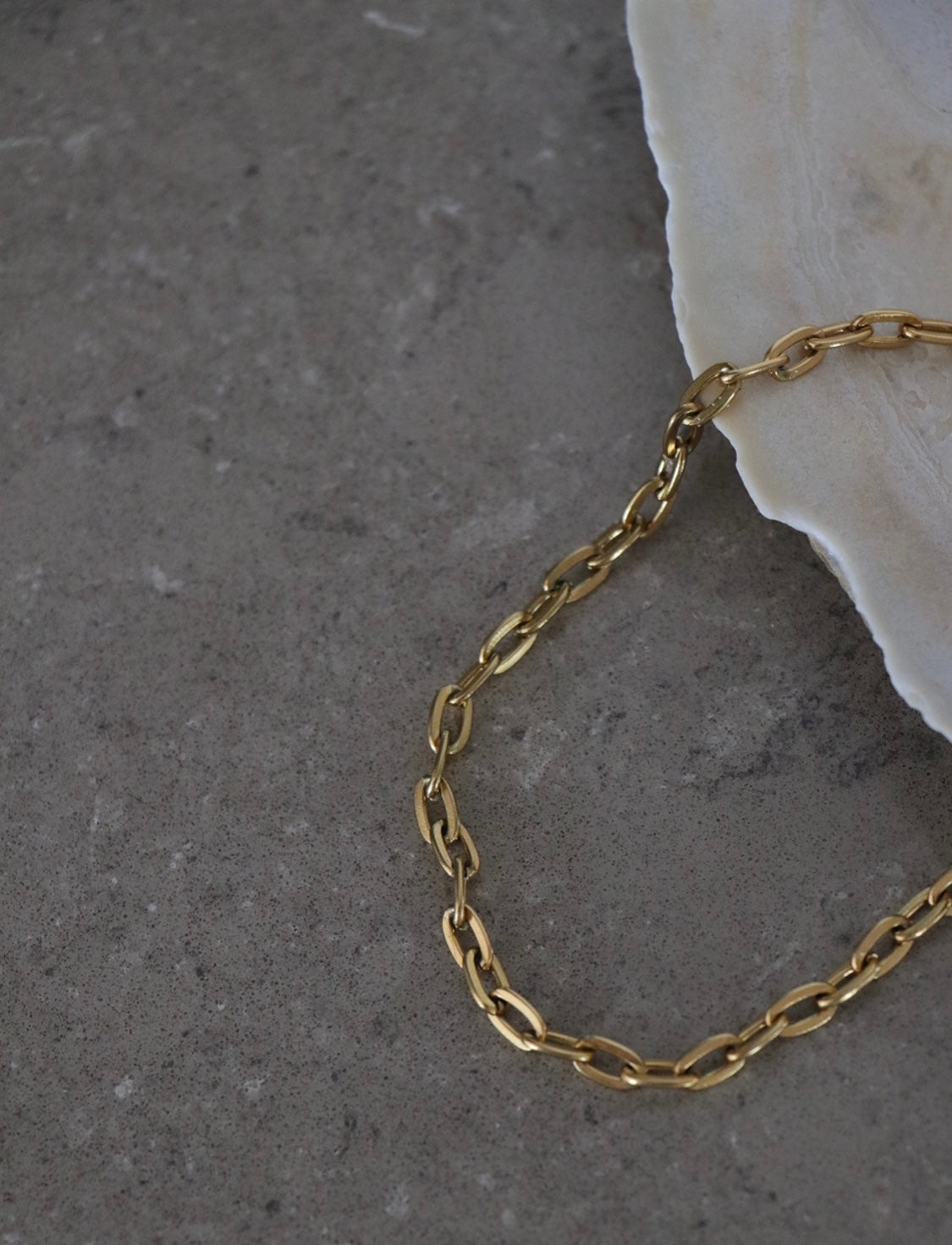 The Abby Link Chain Anklet