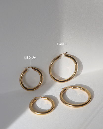 The Alex Essential Hoops