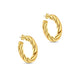 The Hailey Chunky Hoops