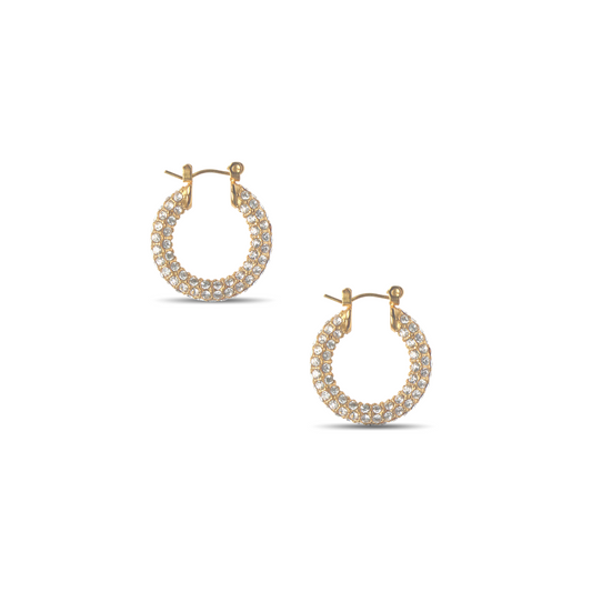The Sparkle Encrusted Hoops